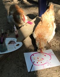 Kunstintressiertes Huhn